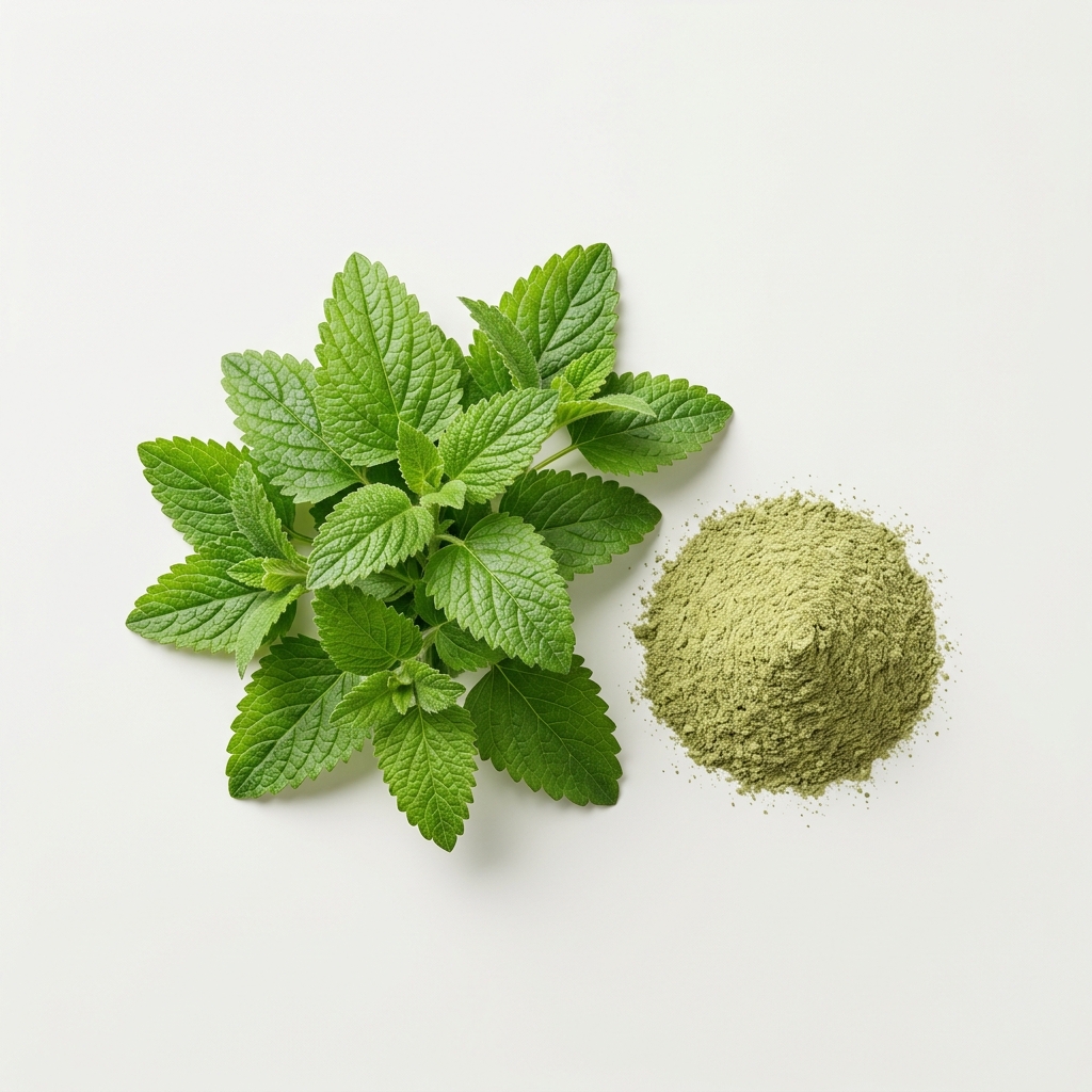 Lemon balm leaves and powder